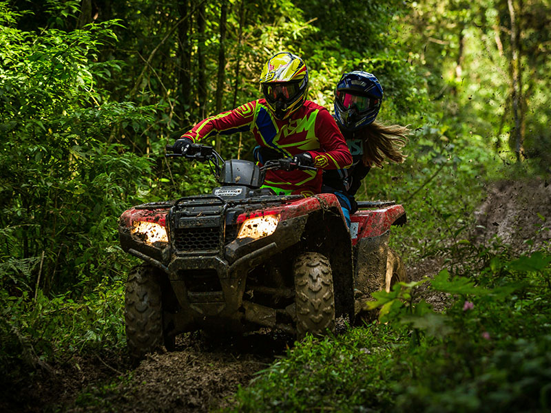 home_attivita_quad